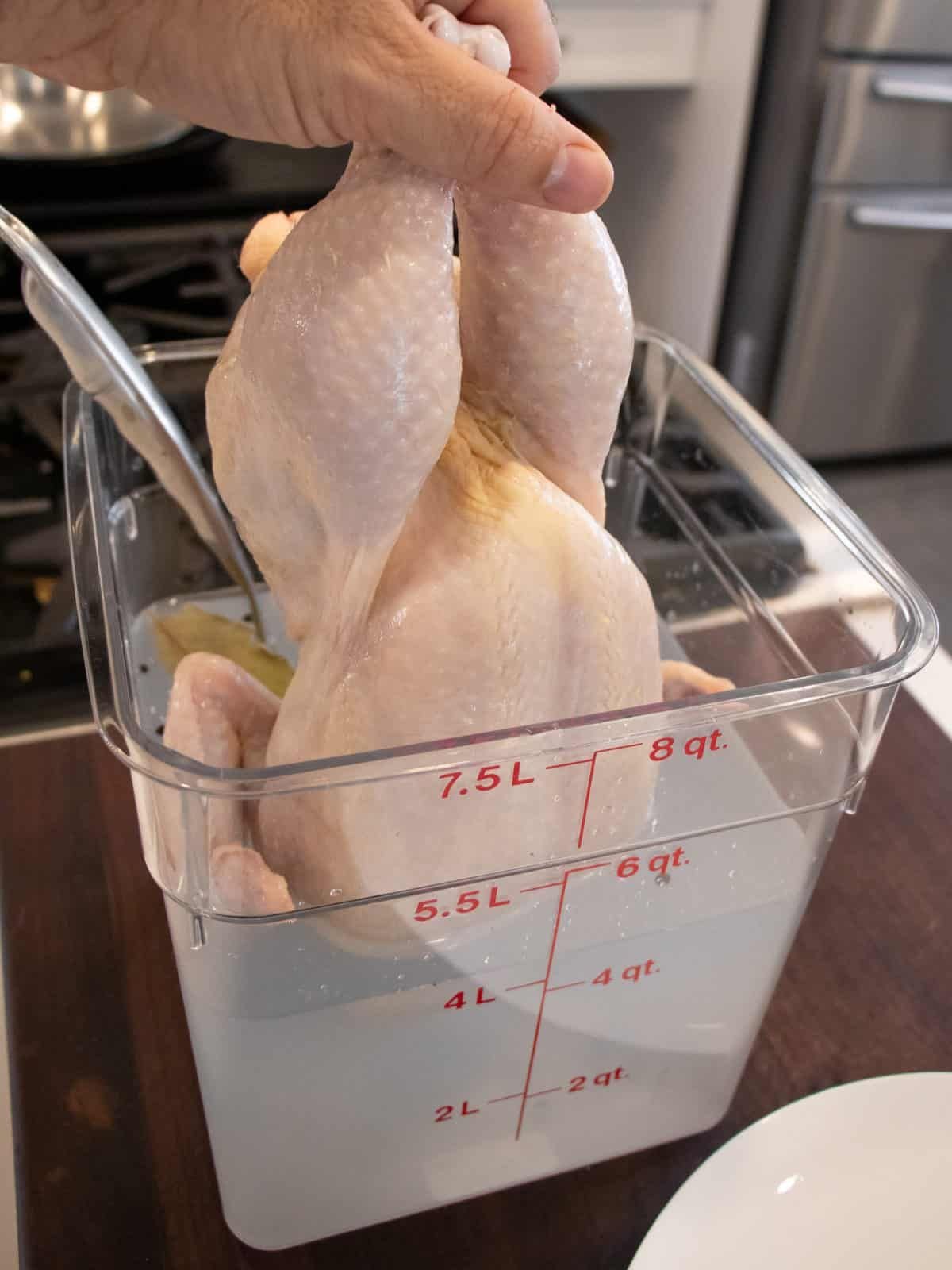 xem gà đá thomo xem gà đá thomo